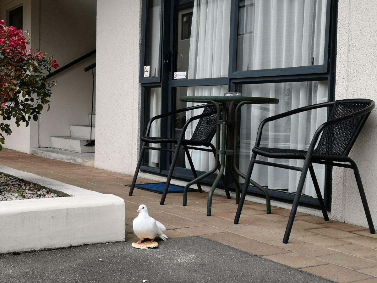 Annabelle Court Motel Christchurch Exterior photo